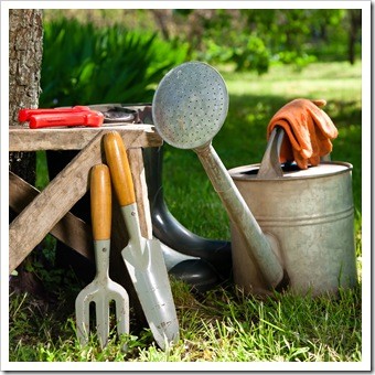Spinal Health Gardening Miami FL