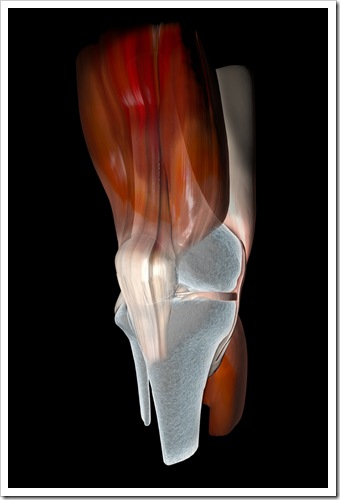 Knee Pain Miami FL Sports Injury